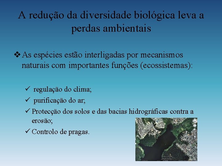 A redução da diversidade biológica leva a perdas ambientais v As espécies estão interligadas