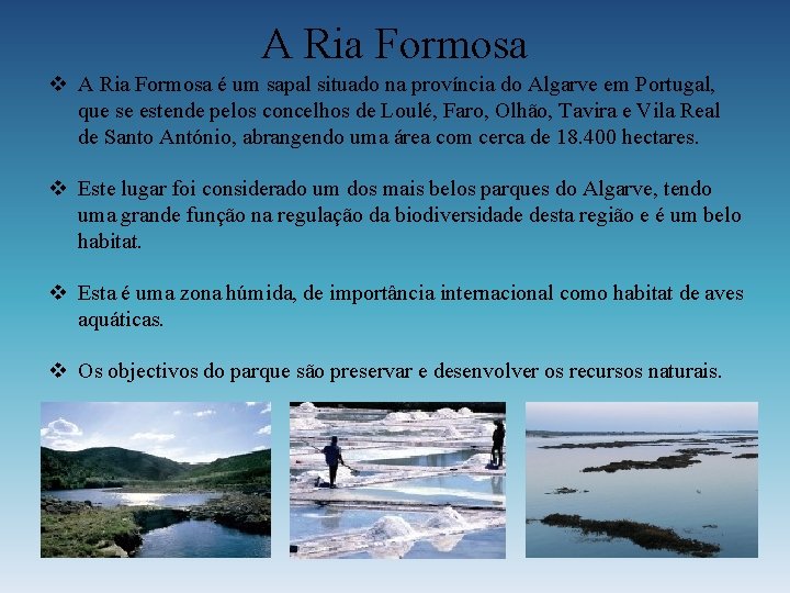 A Ria Formosa v A Ria Formosa é um sapal situado na província do