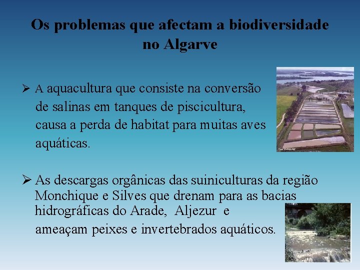 Os problemas que afectam a biodiversidade no Algarve Ø A aquacultura que consiste na