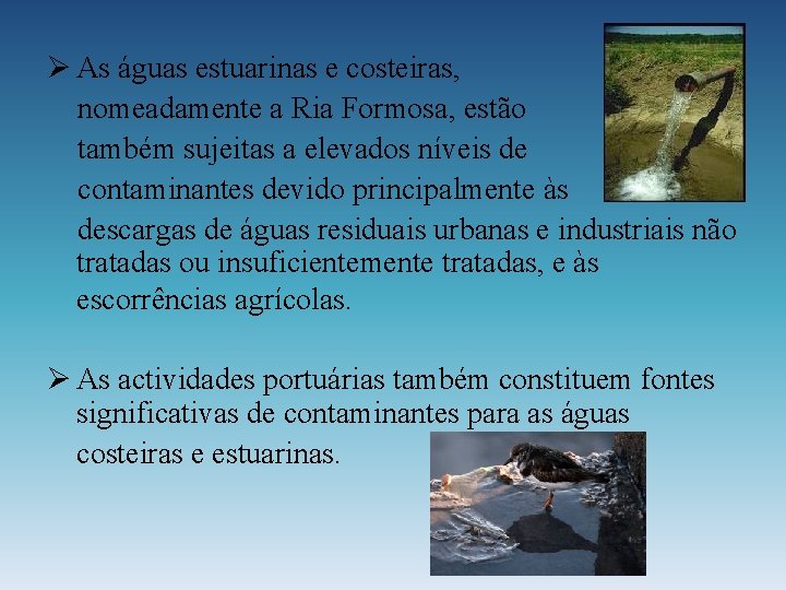 Ø As águas estuarinas e costeiras, nomeadamente a Ria Formosa, estão também sujeitas a