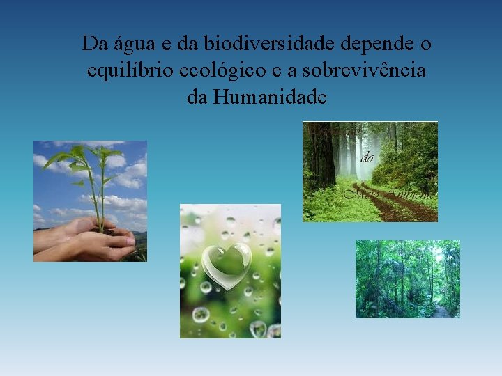 Da água e da biodiversidade depende o equilíbrio ecológico e a sobrevivência da Humanidade