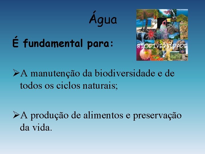 Água É fundamental para: ØA manutenção da biodiversidade e de todos os ciclos naturais;