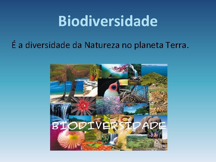 Biodiversidade É a diversidade da Natureza no planeta Terra. 
