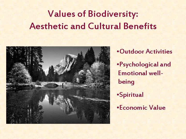 Values of Biodiversity: Aesthetic and Cultural Benefits • Outdoor Activities • Psychological and Emotional