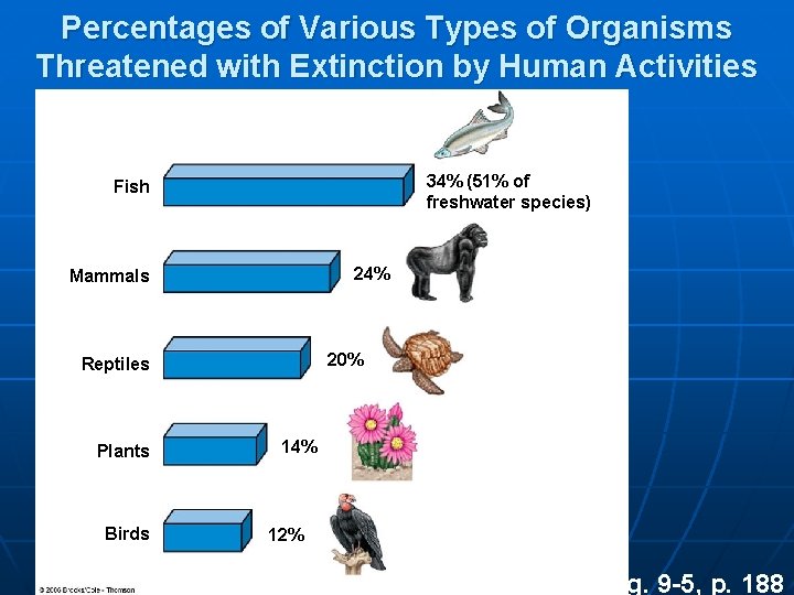 Percentages of Various Types of Organisms Threatened with Extinction by Human Activities 34% (51%