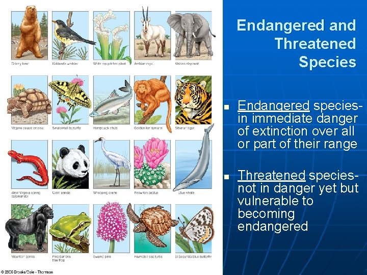 Endangered and Threatened Species n n Endangered speciesin immediate danger of extinction over all