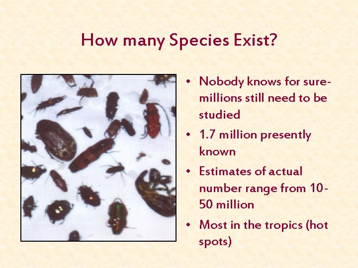 How many Species Exist? • Nobody knows for suremillions still need to be studied