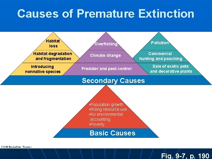 Causes of Premature Extinction Habitat loss Overfishing Pollution Habitat degradation and fragmentation Climate change