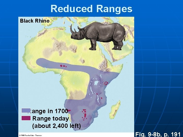 Reduced Ranges Black Rhino Range in 1700 Range today (about 2, 400 left) Fig.