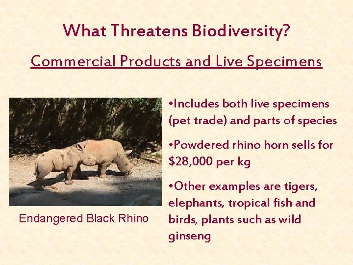 What Threatens Biodiversity? Commercial Products and Live Specimens • Includes both live specimens (pet