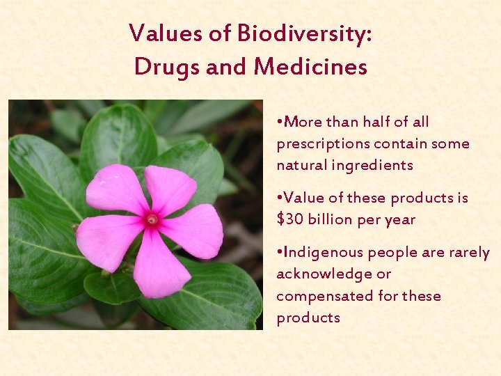 Values of Biodiversity: Drugs and Medicines • More than half of all prescriptions contain