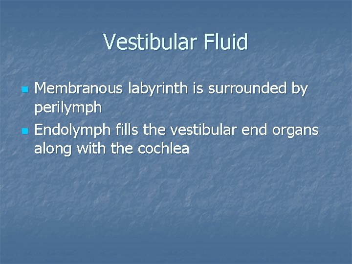 Vestibular Fluid n n Membranous labyrinth is surrounded by perilymph Endolymph fills the vestibular