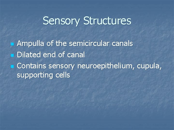Sensory Structures n n n Ampulla of the semicircular canals Dilated end of canal
