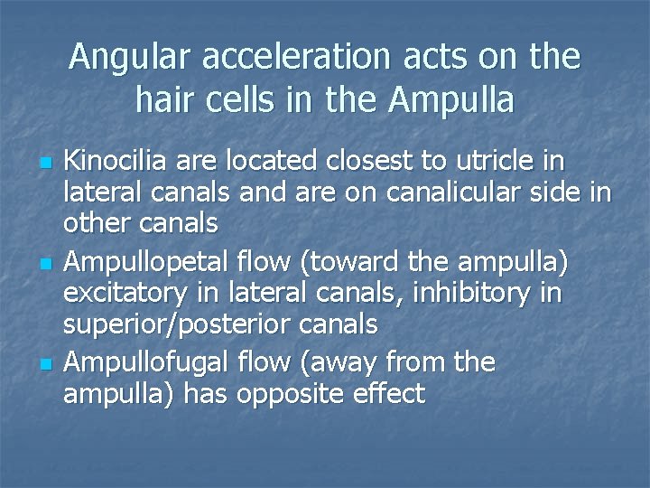 Angular acceleration acts on the hair cells in the Ampulla n n n Kinocilia