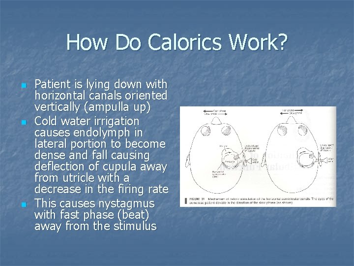 How Do Calorics Work? n n n Patient is lying down with horizontal canals
