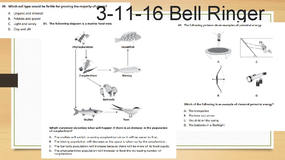 3 -11 -16 Bell Ringer 