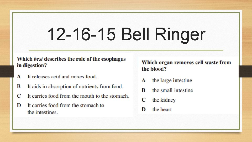 12 -16 -15 Bell Ringer 