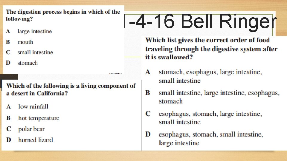 1 -4 -16 Bell Ringer 