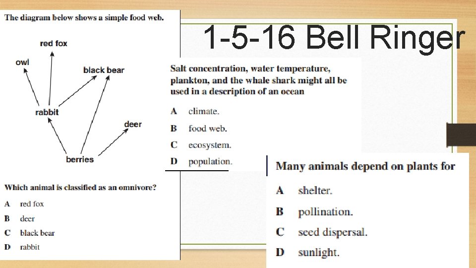 1 -5 -16 Bell Ringer 