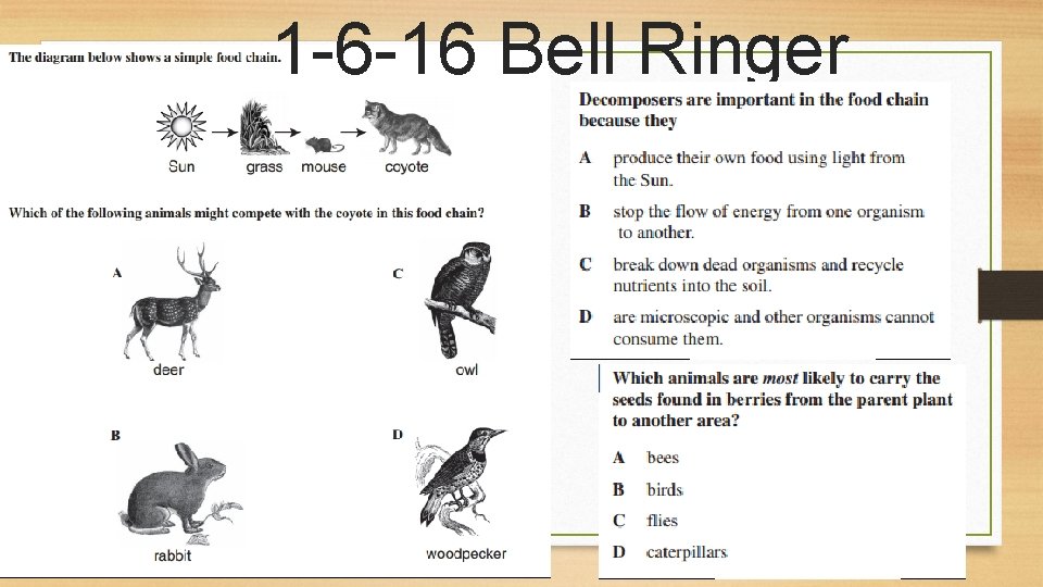 1 -6 -16 Bell Ringer 