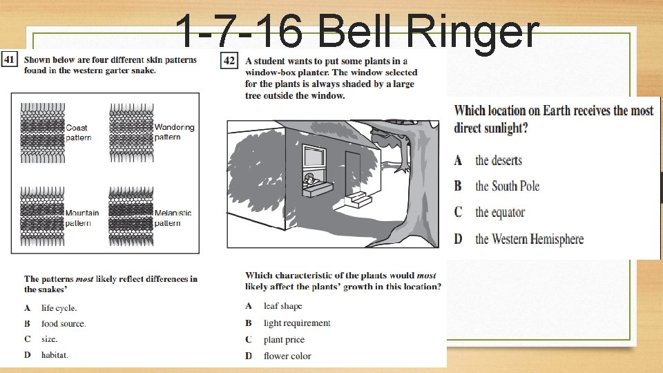 1 -7 -16 Bell Ringer 