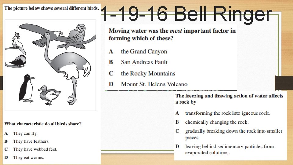 1 -19 -16 Bell Ringer 