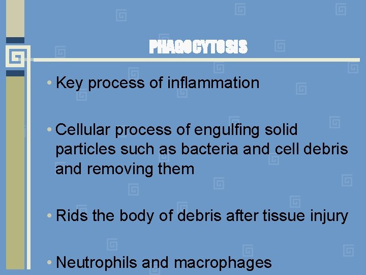 PHAGOCYTOSIS • Key process of inflammation • Cellular process of engulfing solid particles such