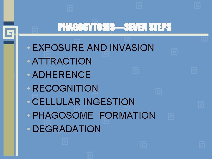 PHAGOCYTOSIS—SEVEN STEPS • EXPOSURE AND INVASION • ATTRACTION • ADHERENCE • RECOGNITION • CELLULAR