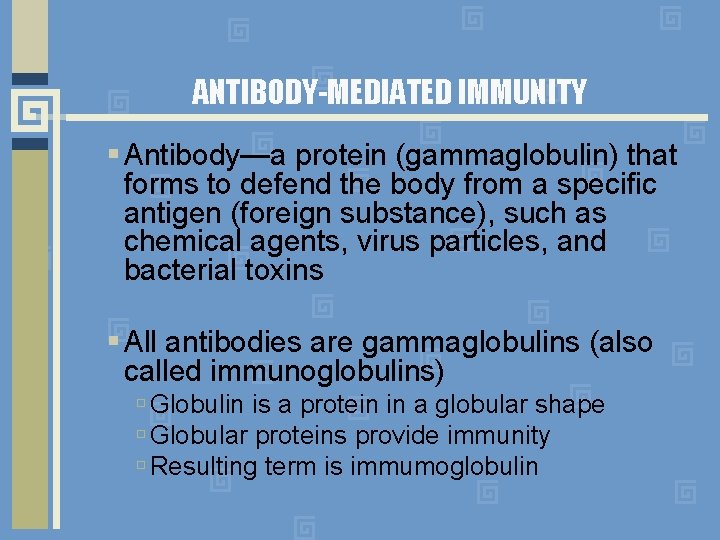 ANTIBODY-MEDIATED IMMUNITY Antibody—a protein (gammaglobulin) that forms to defend the body from a specific