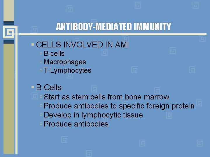 ANTIBODY-MEDIATED IMMUNITY CELLS INVOLVED IN AMI B-cells Macrophages T-Lymphocytes B-Cells Start as stem cells