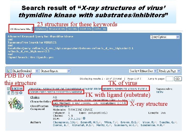 Search result of “X-ray structures of virus’ thymidine kinase with substrates/inhibitors” 23 structures for