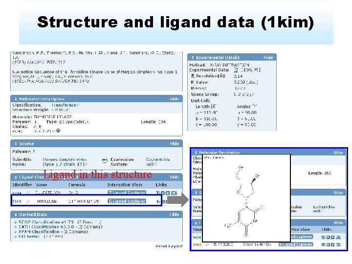 Structure and ligand data (1 kim) Ligand in this structure 