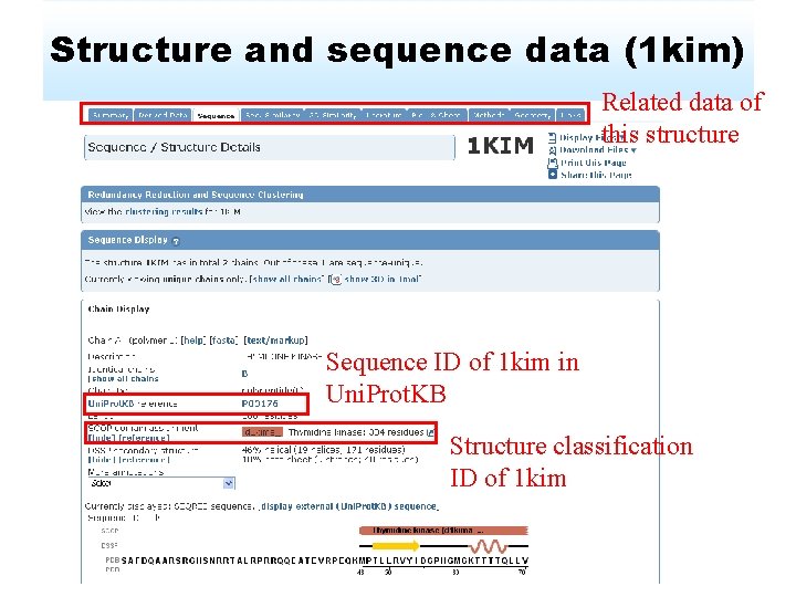Structure and sequence data (1 kim) Related data of this structure Sequence ID of