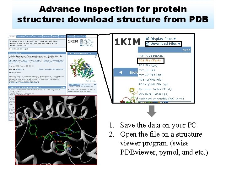 Advance inspection for protein structure: download structure from PDB 1. Save the data on