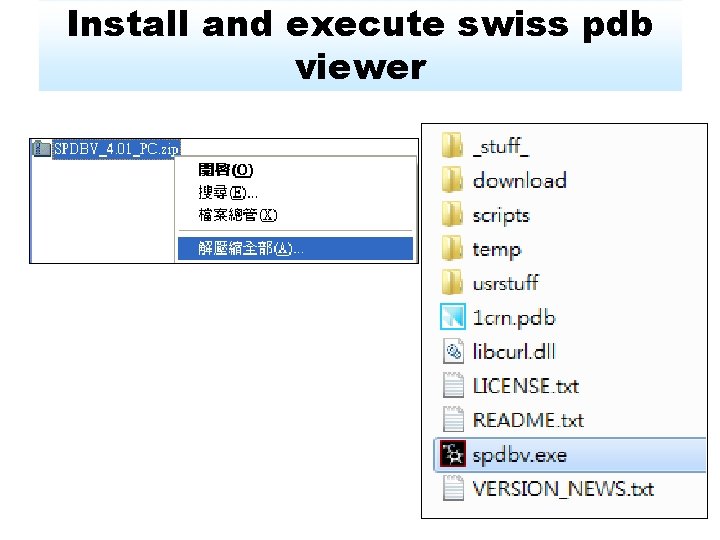 Install and execute swiss pdb viewer 