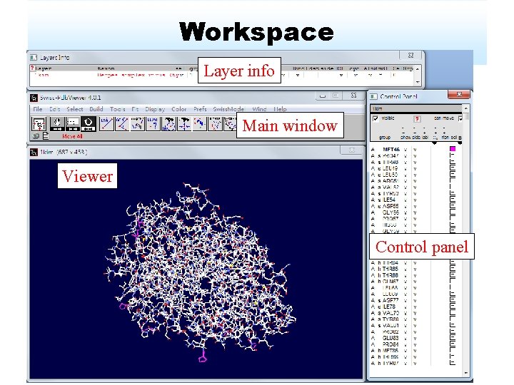 Workspace Layer info Main window Viewer Control panel 