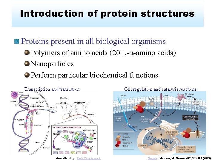 Introduction of protein structures Proteins present in all biological organisms Polymers of amino acids