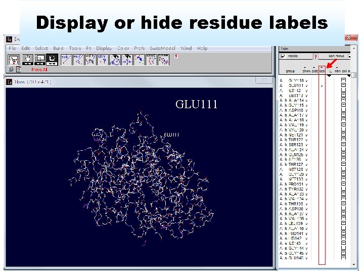 Display or hide residue labels GLU 111 