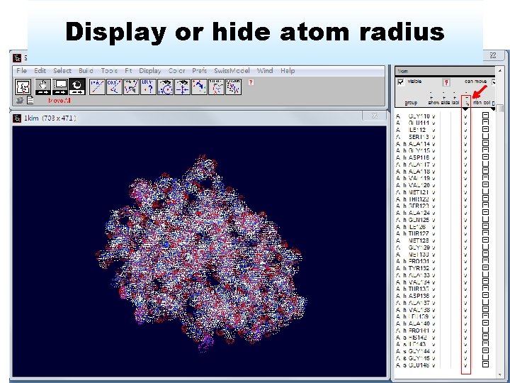 Display or hide atom radius 