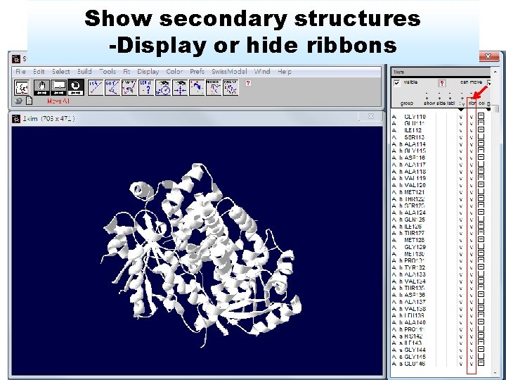 Show secondary structures -Display or hide ribbons 