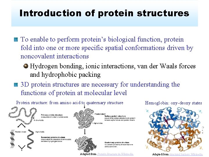 Introduction of protein structures To enable to perform protein’s biological function, protein fold into