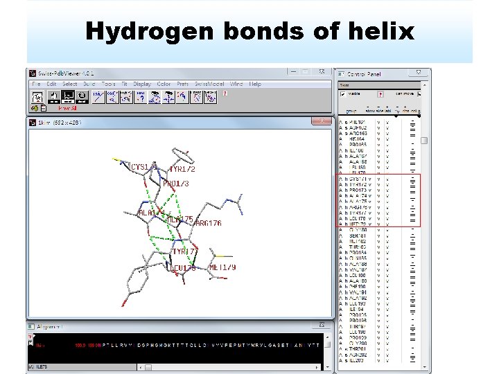 Hydrogen bonds of helix 