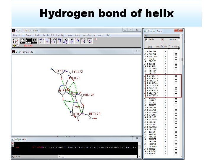 Hydrogen bond of helix 