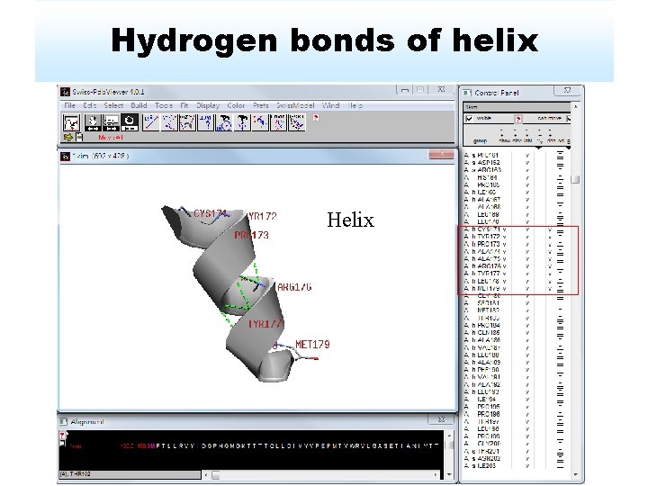 Hydrogen bonds of helix Helix 