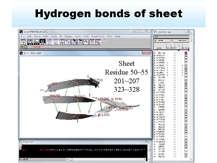 Hydrogen bonds of sheet Sheet Residue 50~55 201~207 323~328 