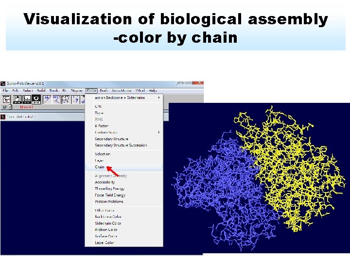 Visualization of biological assembly -color by chain 