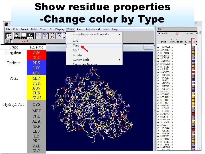 Show residue properties -Change color by Type Negative Positive Polar Reisdue ASP GLU HIS