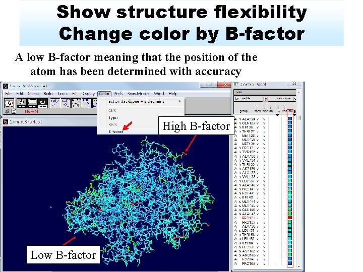 Show structure flexibility Change color by B-factor A low B-factor meaning that the position