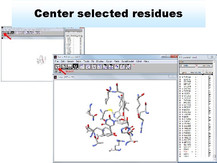 Center selected residues 