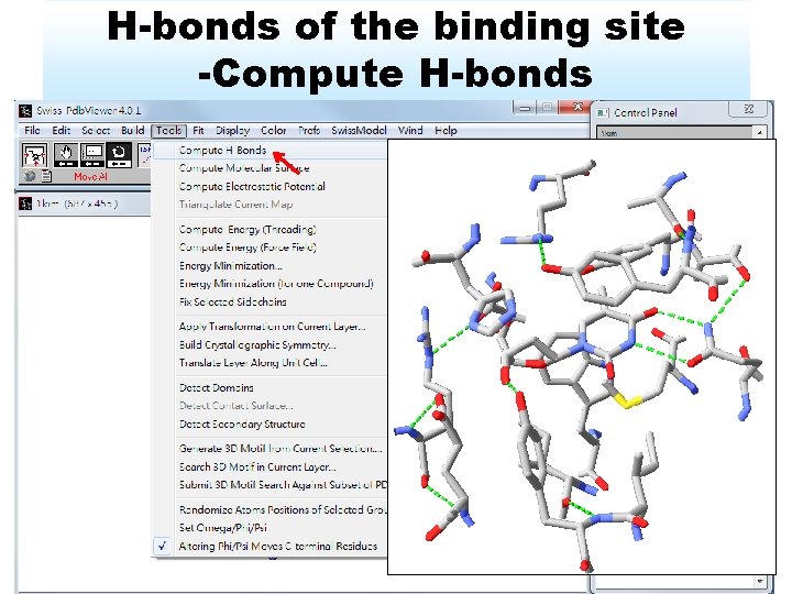 H-bonds of the binding site -Compute H-bonds 